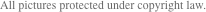 All pictures protected under copyright