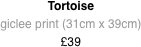 Tortoise