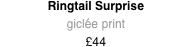 Ringtail Surprise print