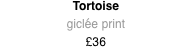 Tortoise print