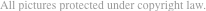 All pictures protected under copyright