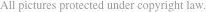 All pictures protected under copyright