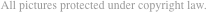 All pictures protected under copyright